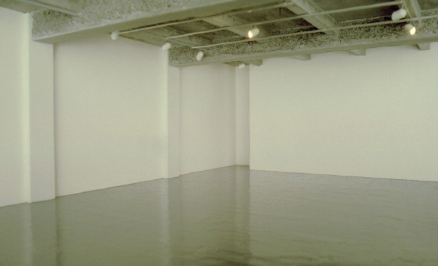 Marian Goodman gallery, inside model